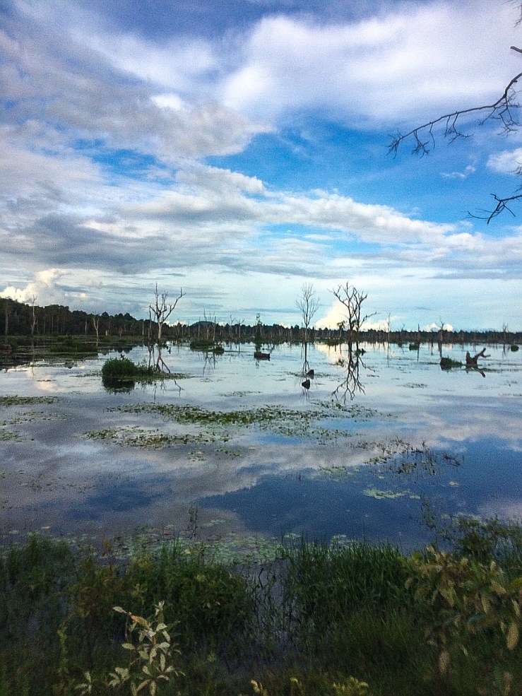 6E9E356A-7403-4A82-8F27-622D6AFD2708