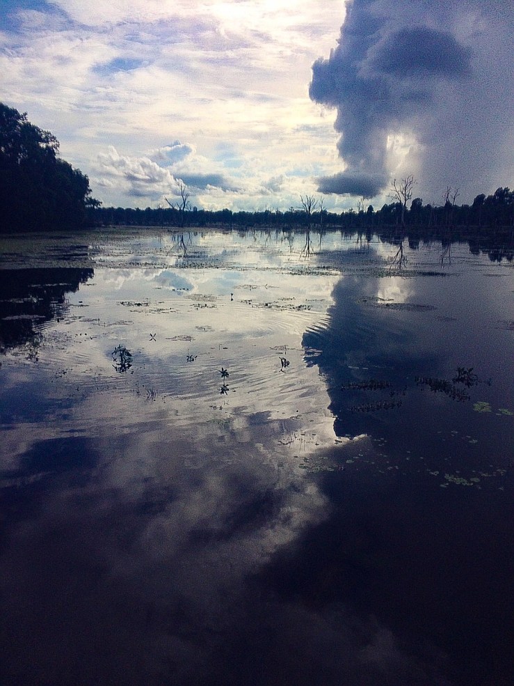 A167D2BF-A47C-4A4F-B31E-53E6F393261A