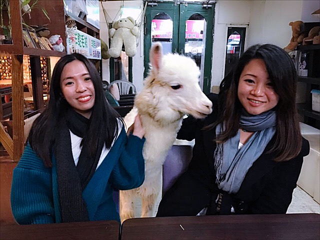 4cdac22d-f5fb-44f7-97e9-c3f169d78ef4