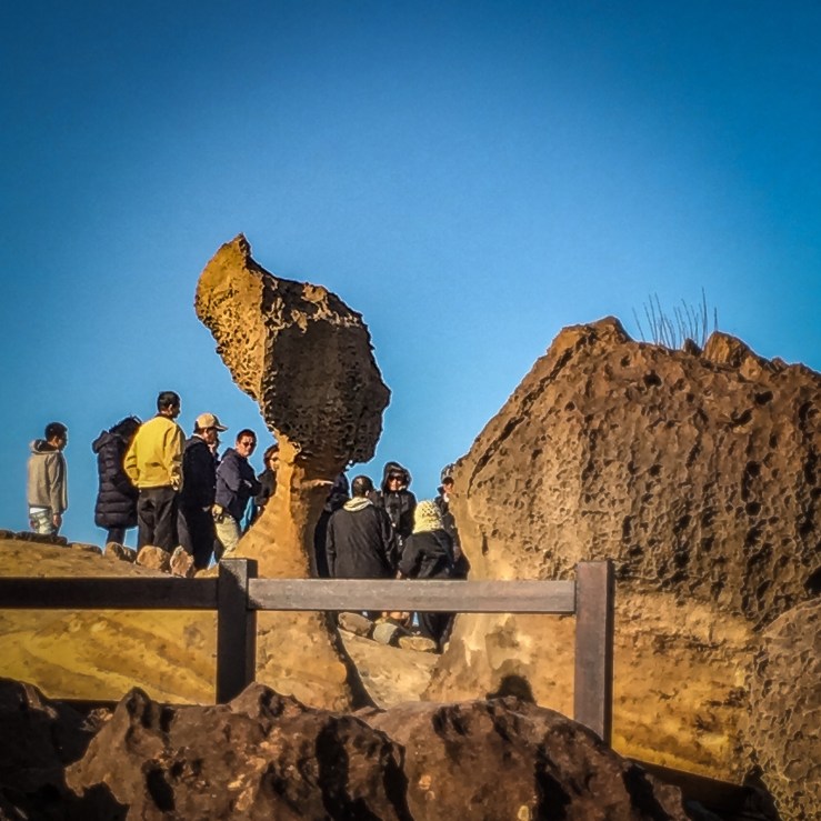 72060499-b53a-4644-bf87-f8d57796034e