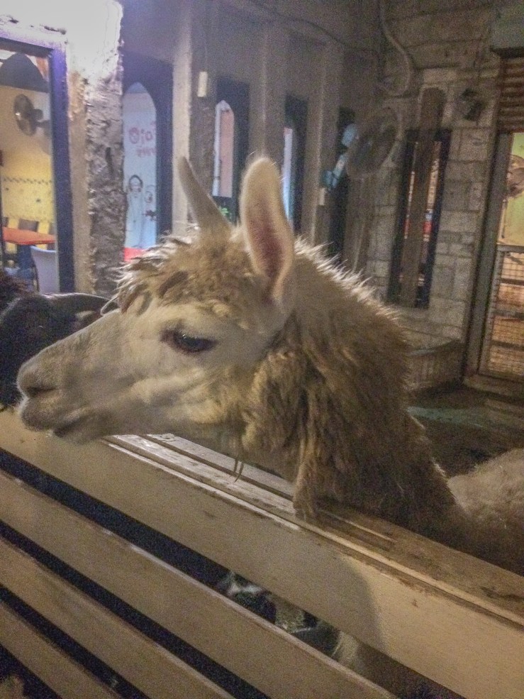 ad7db626-2c56-494a-a70b-fbc8311835e3