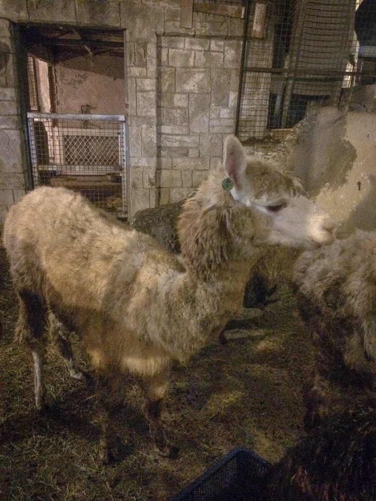 bc1dbbf9-6e2c-4de2-b6f5-d42f77e3e8cd