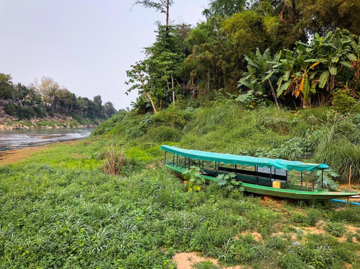 13E0261B-9FC5-4D02-971D-6DAAEBD95E6B