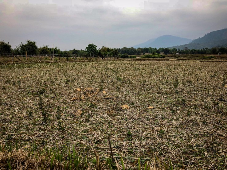 4E9B4D5C-F924-4C0C-8106-D267C6AEE690