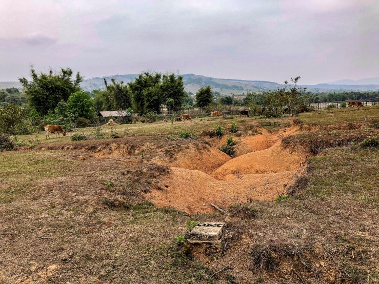 974932A2-608B-4D6D-852A-5A6DDBF4EE49