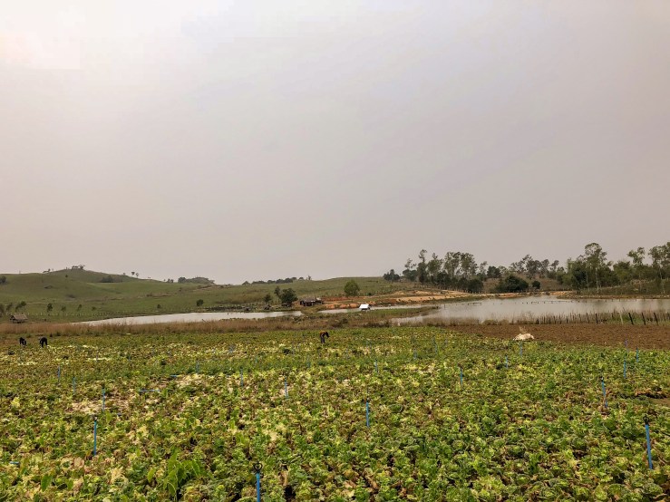 B2868BD1-E901-4F1C-88A0-B760339711AF