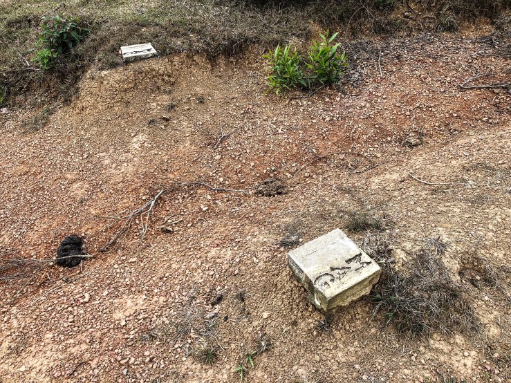 B869EDB3-9B50-43F7-9641-033F8FEFCF69