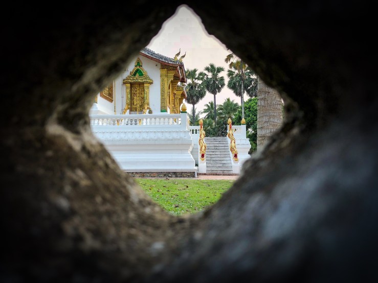 FE13588A-D3BF-4B87-9C0A-549DAC9E0141